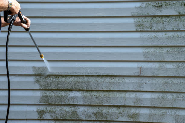 Best Weatherproofing and Sealing  in Mendon, UT