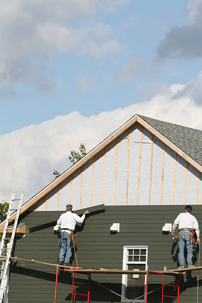 Best Stone Veneer Siding  in Mendon, UT