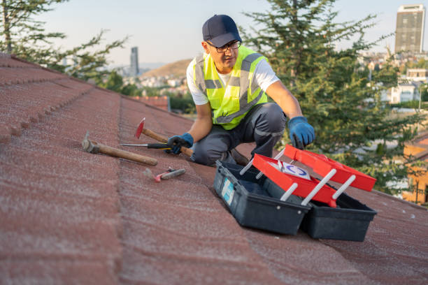 Best Stucco Siding  in Mendon, UT
